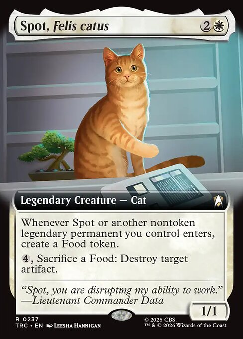 Spot, Felis catus card image